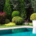 The ultimate guide to pruning your plants